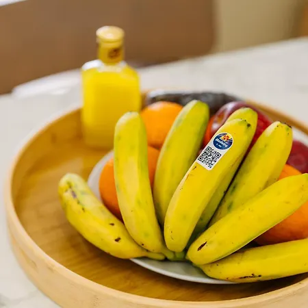 Linda Vista By Amazing Madeira פונשל